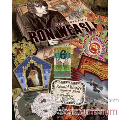 Boite d\\\'artefacts ron weasley Noble Collection -NN7432