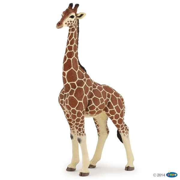 Figurine Girafe male Papo -50149