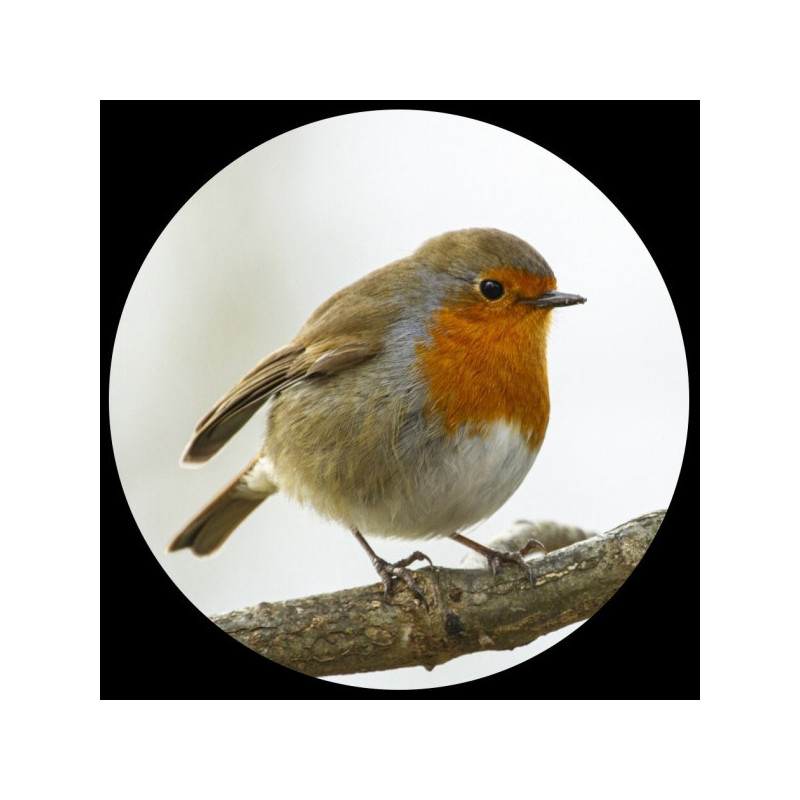 Décoration OiseauxPresse-papiers verre oiseau rouge-gorge collection 3dMouseion -PNAT09 3dMouseion