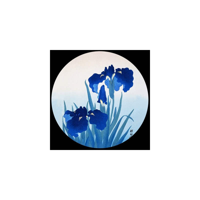 Presse -papiers verre d'après l'oeuvre de koson, iris 3dMouseion -PKOS3