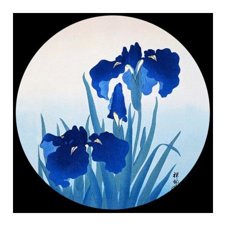 Presse -papiers verre d'après l'oeuvre de koson, iris 3dMouseion -PKOS3