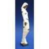 Figurine Candide  - Candidiora Nive  - CN02B