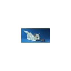 Figurine chat - adriana + cm cocolina   - ca36