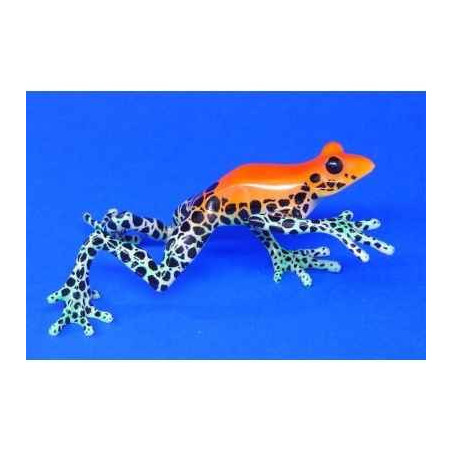 Animaux marins grenouille dendrobates reticulatus  bf10