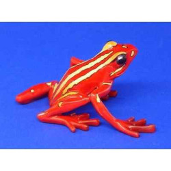 Animaux marins grenouille epipedobates tricolor  bf11