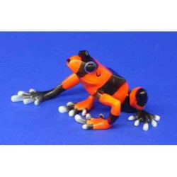 Animaux marins grenouille lehmann's poisson dart frog  bf09