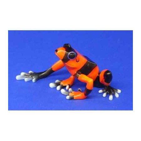 Animaux marins grenouille lehmann's poisson dart frog  bf09