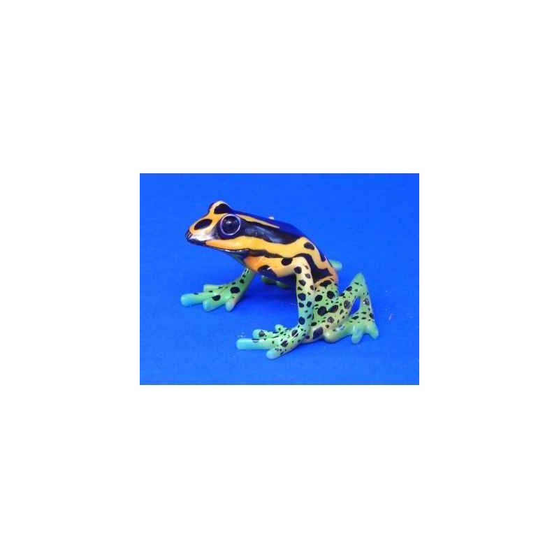 Animaux marins grenouille dendrobates quinquevittatus  bf12