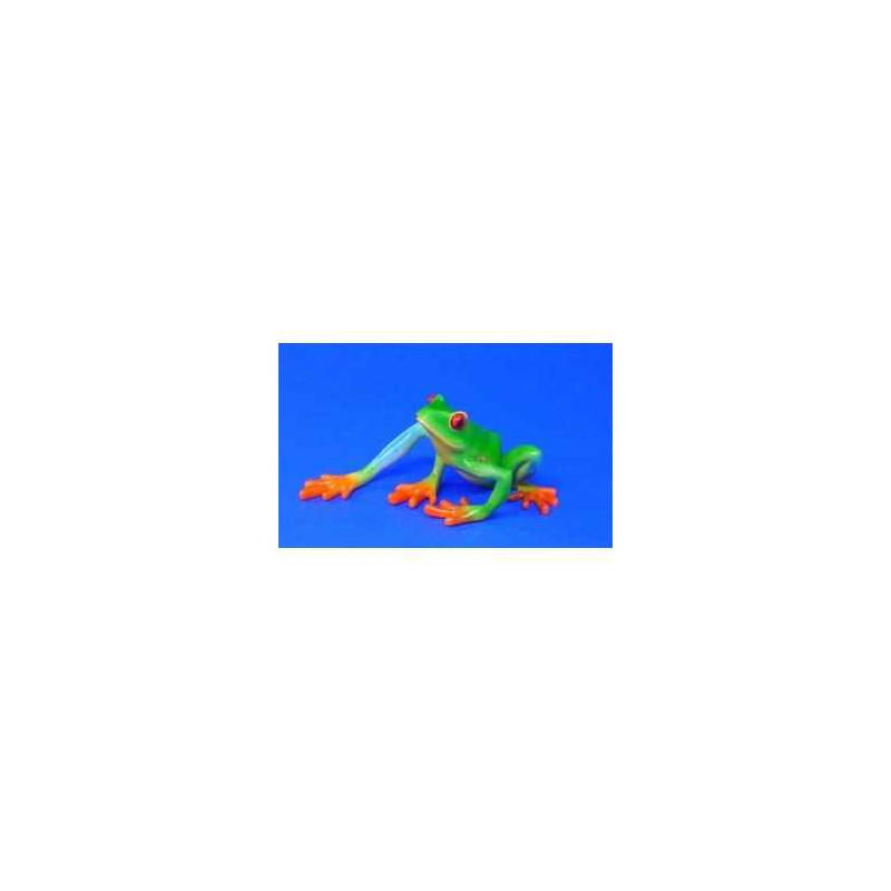 Animaux marins grenouille red-eyed tree frog bf01