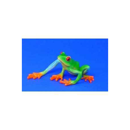 Animaux marins grenouille red-eyed tree frog bf01