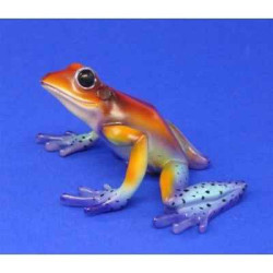 Animaux marins grenouille dendrobates granulatus  bf03