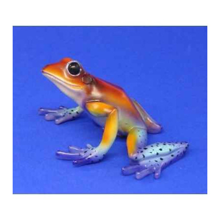 Animaux marins grenouille dendrobates granulatus  bf03