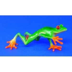Animaux marins grenouille red-eyed tree frog (streched) bf02