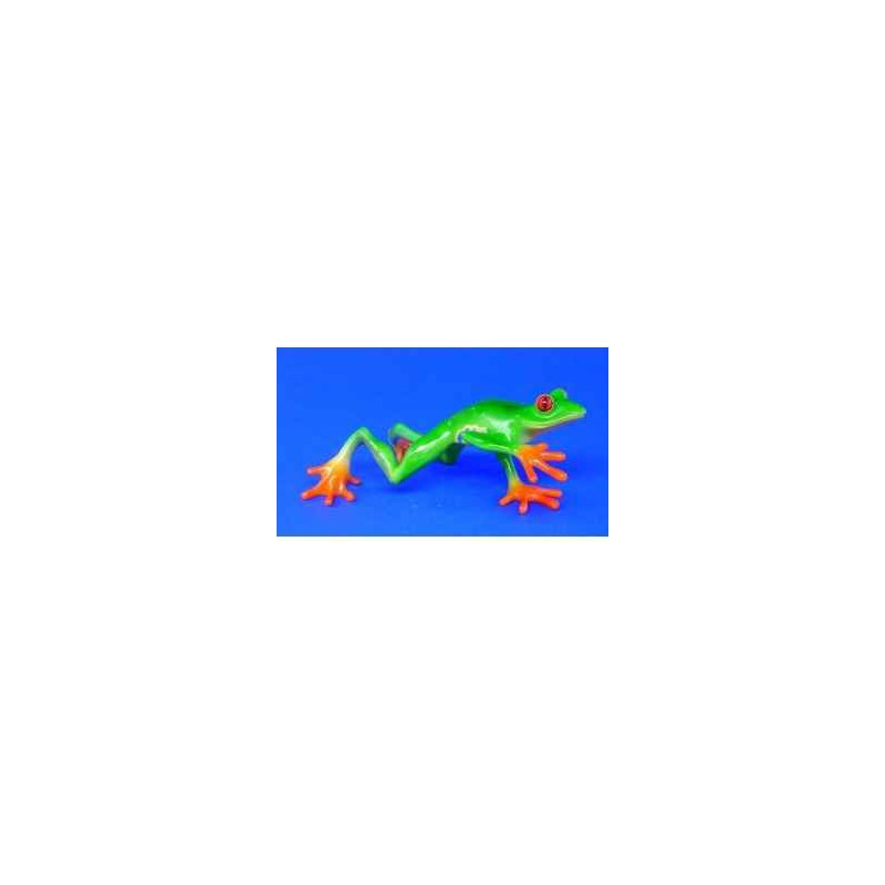 Animaux marins grenouille red-eyed tree frog (streched) bf02