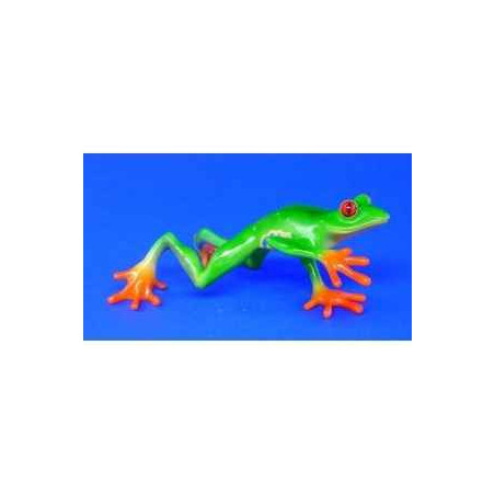 Animaux marins grenouille red-eyed tree frog (streched) bf02