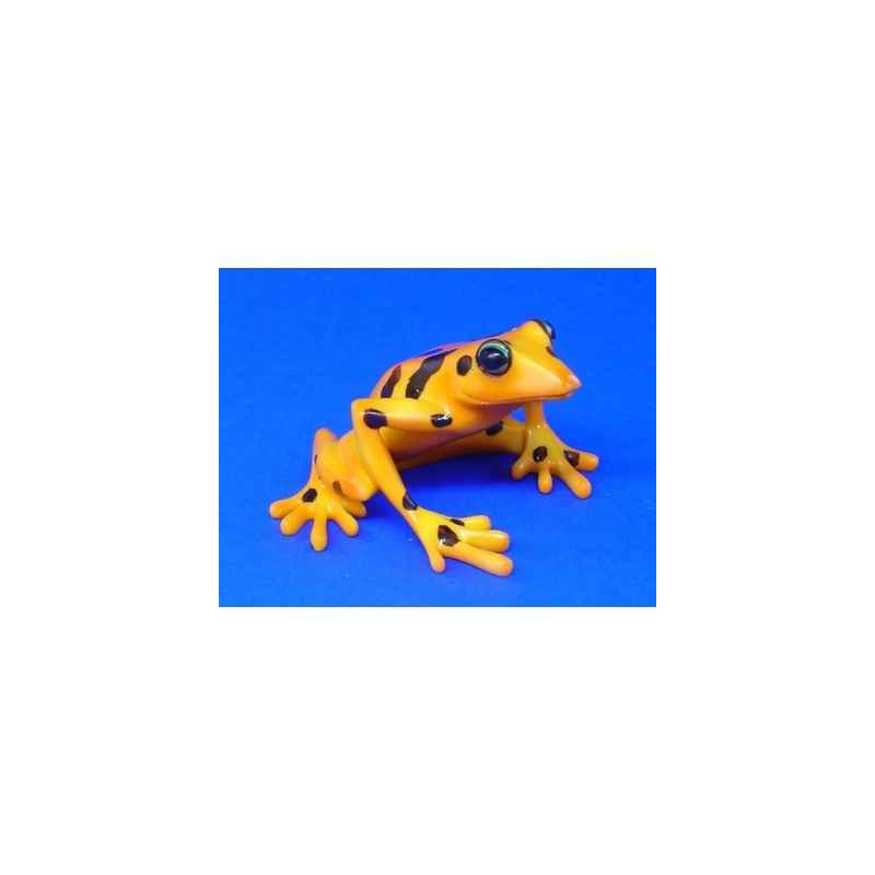 Animaux marins grenouille harlequin frog  bf04