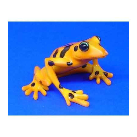 Animaux marins grenouille harlequin frog  bf04