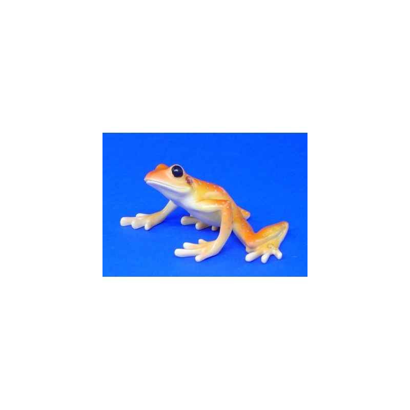 Animaux marins grenouille stoney creek frog  bf07