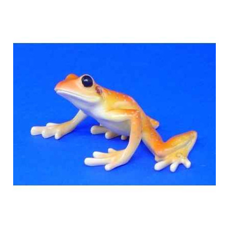 Animaux marins grenouille stoney creek frog  bf07