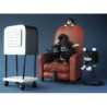 Animaux-Bois-Animaux-Bronzes.com propose Chat Dubout kitten on chair set -DUB59