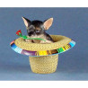 Figurine Chien Chihuahua Sombrero 13388