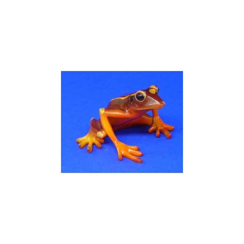 Animaux marins grenouille red bellied tree frog bf08
