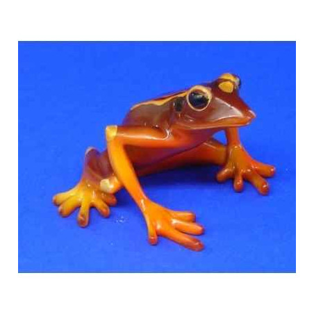 Animaux marins grenouille red bellied tree frog bf08