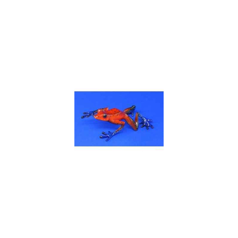 Animaux marins grenouille strawberry frog  bf06