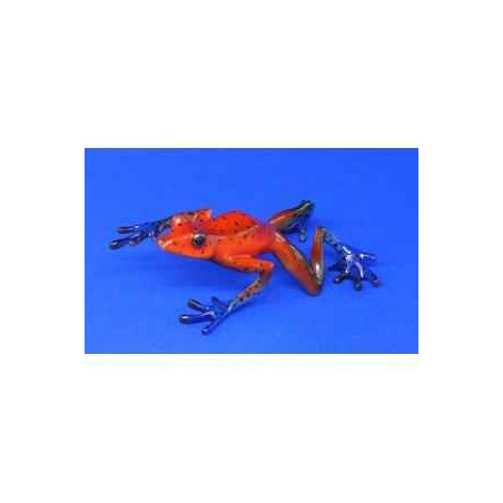 Animaux marins grenouille strawberry frog  bf06
