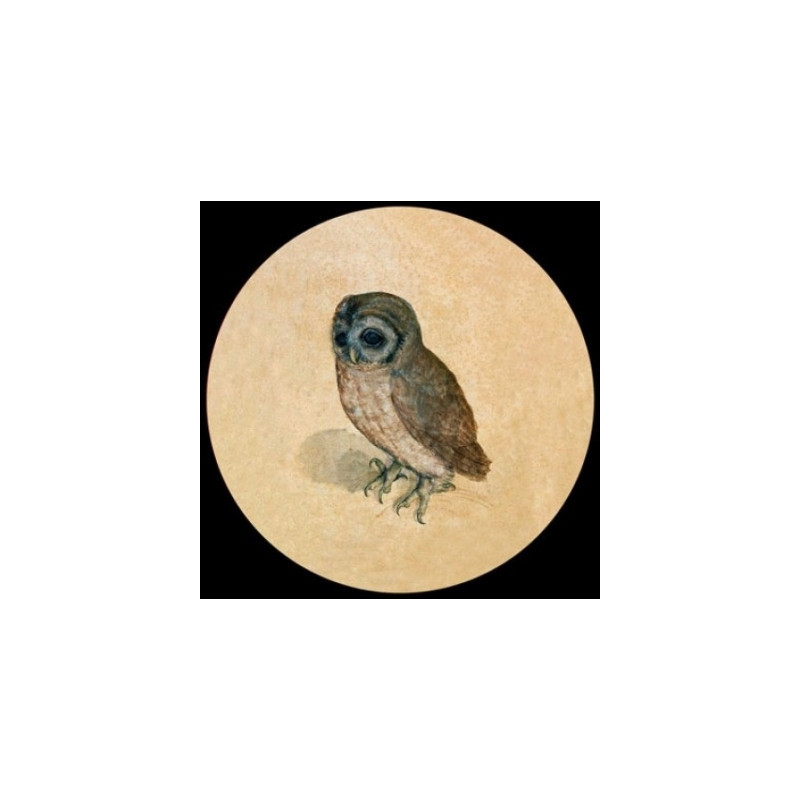 Presse Papier duerer owl Parastone -PDUR2