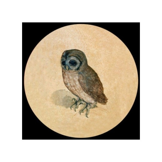 Presse Papier duerer owl Parastone -PDUR2