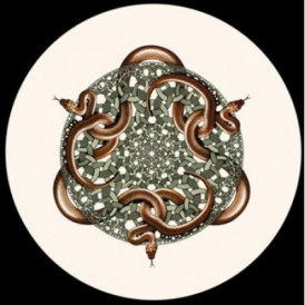 Presse Papier escher snakes Parastone -PESC3