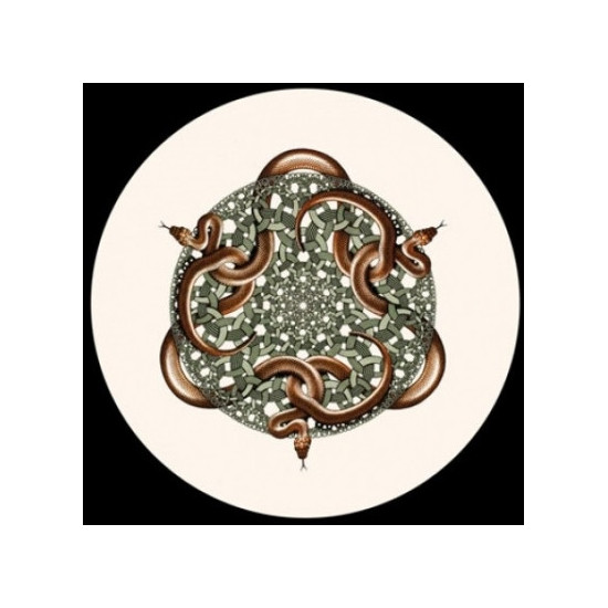 Presse Papier escher snakes Parastone -PESC3