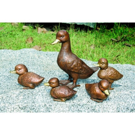 5 canards -AN0001BR-B
