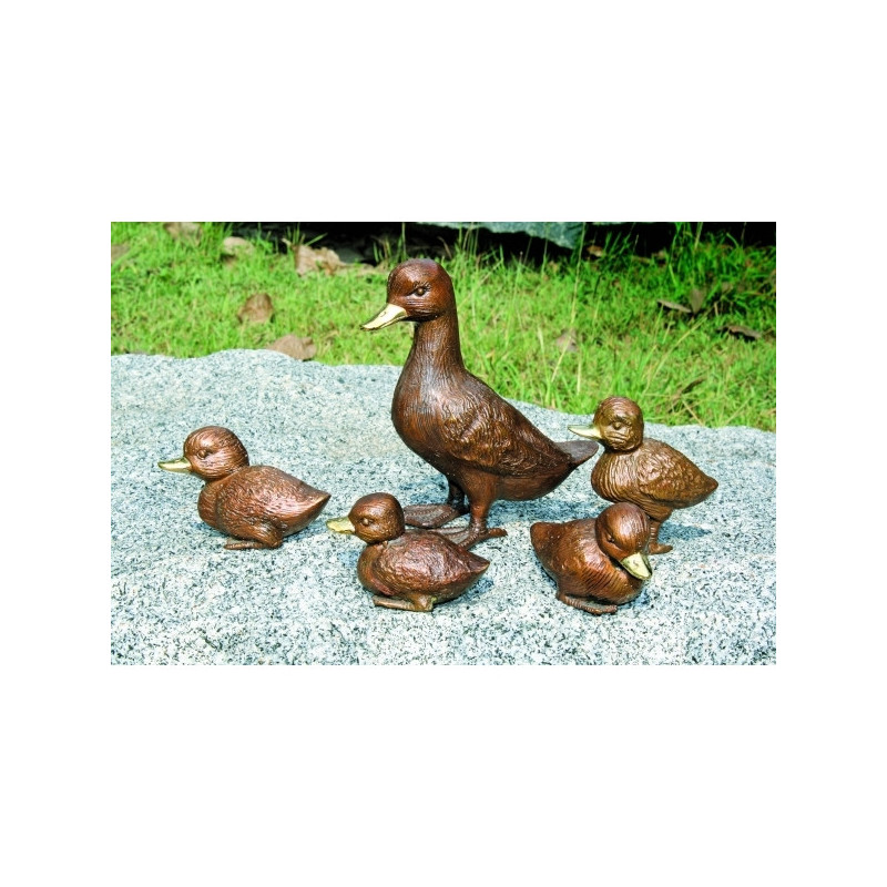 5 canards -AN0001BR-B