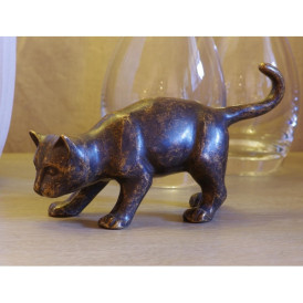 Chat brun -AN0017BR-BI