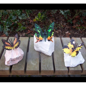 Papillon sur piere -AN0748BR-P (2)