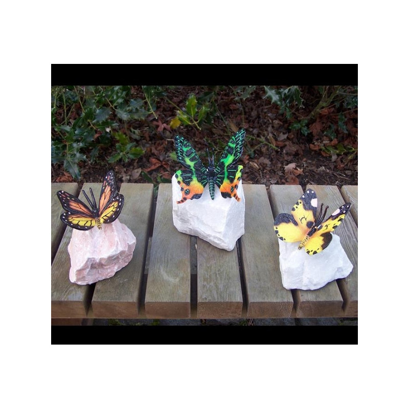 Papillon sur piere -AN0748BR-P