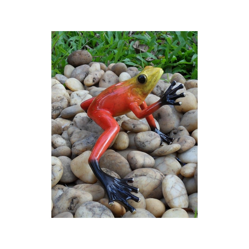 Grenouille forêt tropicale / rouge -AN0984BR-C