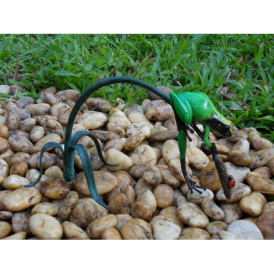 Grenouille colorée sur rameau / vert -AN0988BR-C