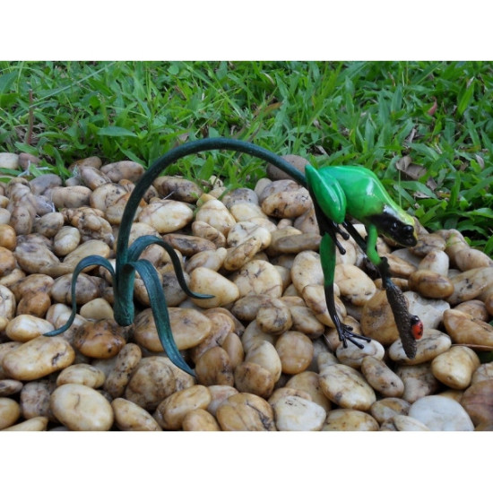 Grenouille colorée sur rameau / vert -AN0988BR-C