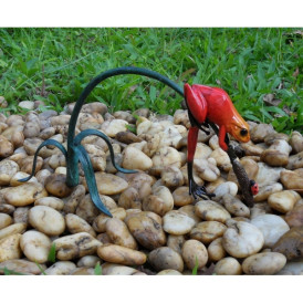 Grenouille colorée sur rameau / rouge -AN0989BR-C