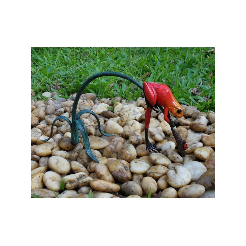 Grenouille colorée sur rameau / rouge -AN0989BR-C