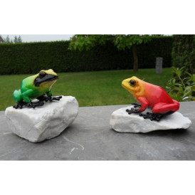 Grenouille sur roc -AN1071BR-C
