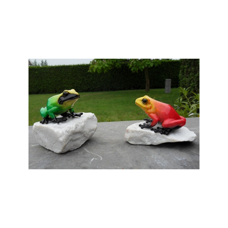 Grenouille sur roc -AN1071BR-C