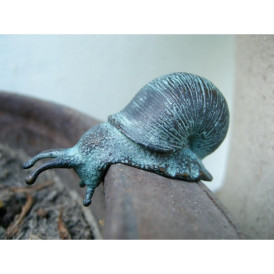 Petit escargot -AN1086BR-V