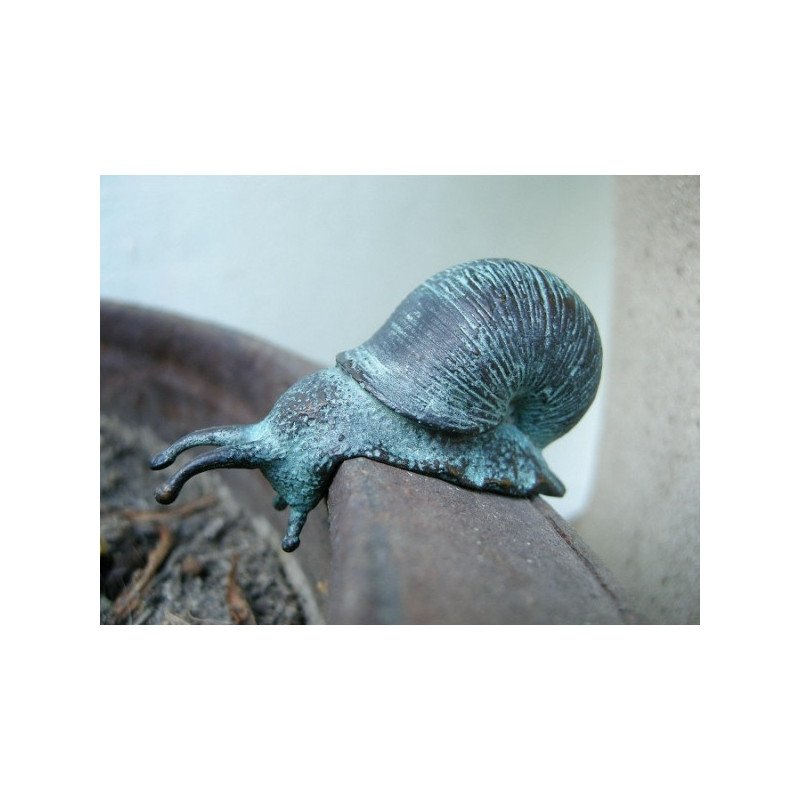 Petit escargot -AN1086BR-V