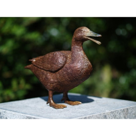 Canard -AN1115BR-B