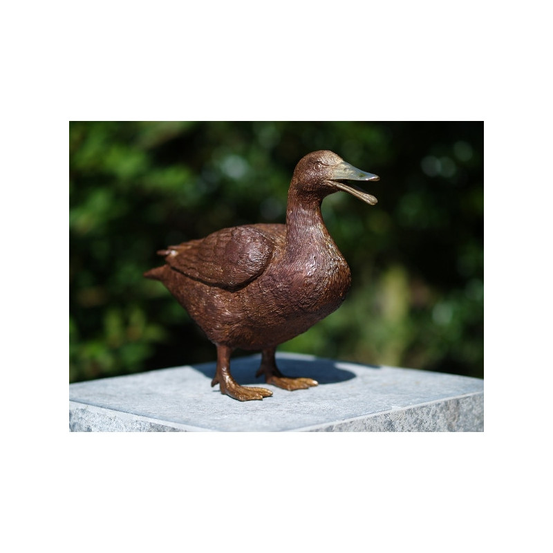 Canard -AN1115BR-B