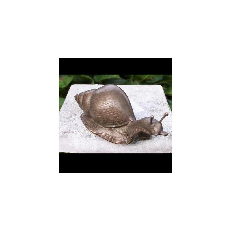 Escargot -AN1235BR-B